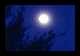 Full moon always rising...website by www.sharimj.com